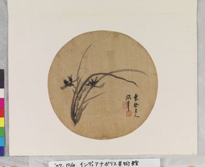 Orchidée en fleur