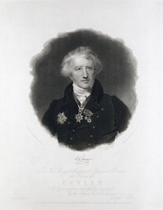 Georges Cuvier, anatomiste français