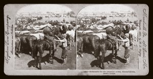 Guerre des Boers (Afrique du Sud) - Unbekannt Unbekannt