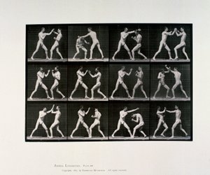 Athlètes masculins nus boxant, vers 1872-1885 - Unbekannt Unbekannt