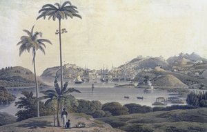 Vue de la ville de Saint-Georges sur l