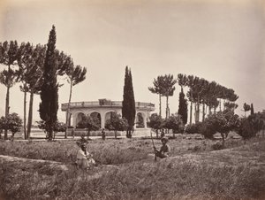 Le jardin de l