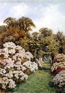 Un chemin de jardin