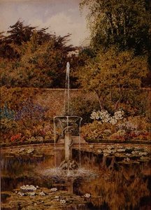 Un vieux jardin aquatique