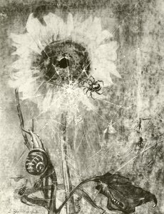 Les Fées - Lily Blatherwick