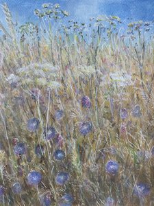 Bleuet 1 - Lincoln Seligman