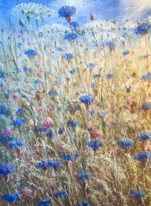 Bleuets 2 - Lincoln Seligman