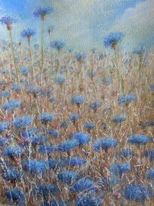 Bleuets 3