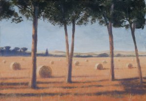 Bottes de foin et pins, Pienza, 2012 - Lincoln Seligman