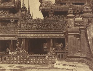 Amerapoora : une autre partie du balcon de Kyoung n° 86 - Linnaeus Tripe
