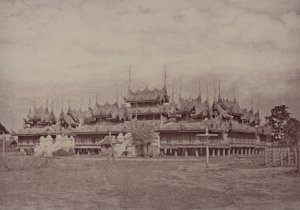 Amerapoora : Magwe Wundouk Kyoung - Linnaeus Tripe