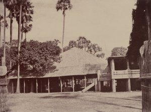 Amerapoora : Portique de la Résidence - Linnaeus Tripe