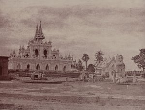 Amerapoora : Pagode Sindu Shwe koo - Linnaeus Tripe