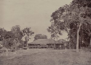 Rangoon: Maison de Mission à Kemindine - Linnaeus Tripe