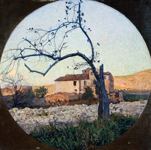 Châtaignier mort