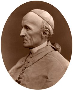 Cardinal Henry Edward Manning, Archevêque de Westminster, 1876