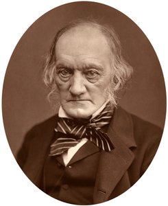 Richard Owen, 1878 - Lock and Whitfield