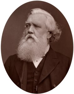 Le très honorable Austen Henry Layard DCL, ambassadeur britannique à Constantinople, 1877