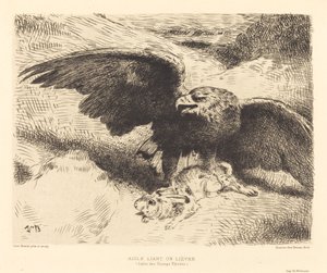 Aigle Liant un Lièvre