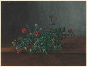 Nature morte avec des fleurs sauvages, 1864 - Léon Bonvin