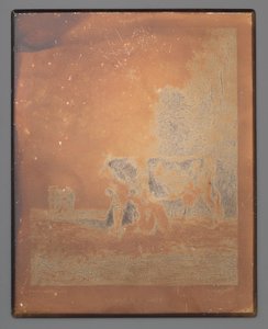 Vaches à la prairie - Léopold Desbrosses