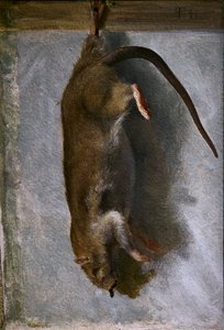 Étude d