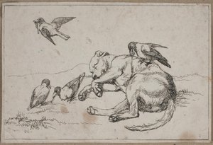 Image 9 de Une vie de chien - Lorenz Frølich