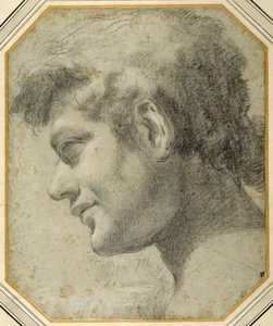 Tête de jeune homme de profil, regardant vers le bas - Lorenzo  Garbieri