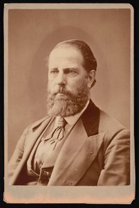 Portrait de William Hayden English 1822-1896, avant 1876 - Lorenzo Dow Judkins