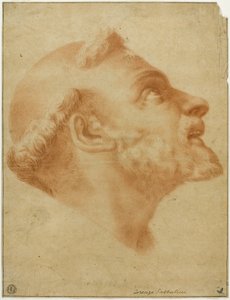 Tête renversée de Saint Dominique - Lorenzo Sabbatini