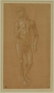Jeune homme nu, visage plein, tenant un bâton Plume en argent, rehaussée de blanc, papier rose pâle ... - Lorenzo di Credi