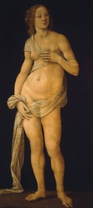 Vénus