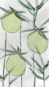 Produits botaniques verts frais