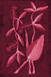 Seed Pod 1 Rouge cerise