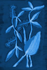 Seed Pod 1 Bleu foncé