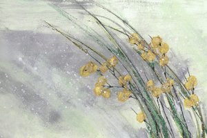 Délicates fleurs jaunes