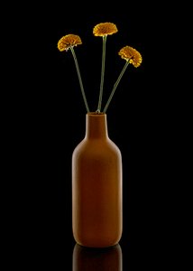 Vase marron « Warm Flowers »