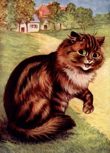 Chat