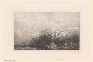 Paysage avec un arbre près d