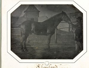 Cleveland, vers 1842-1843 - Louis Auguste Bisson