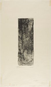 Pins tombants - Louis Auguste Lepère