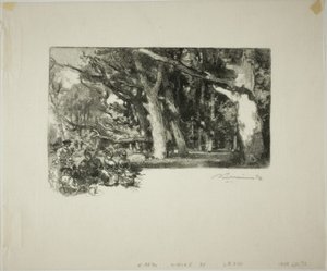 Midi, sous les arbres