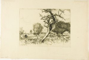 Le pommier mort