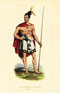 Chef maori de Houa-Houa (Uawa), Tolaga Bay, Île du Nord, Nouvelle-Zélande - Louis Auguste de (after) Sainson