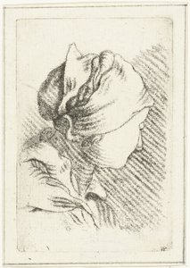 Feuille d