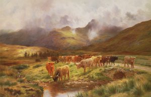 Un troupeau des Highlands à Strathfillan, Perthshire