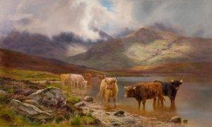 Bétail des Highlands - Louis Bosworth Hurt