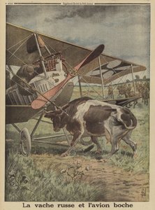 Vache empêchant un avion allemand de décoller, Loutsk, Russie, Première Guerre mondiale