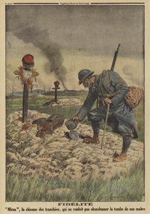 Loyauté : chien de l