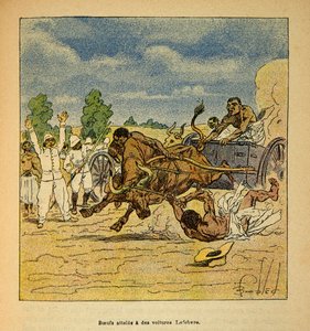 La guerre à Madagascar - Histoire anecdotique des expéditions françaises de 1885-1895 par Henri Galli dit Gallichet (1854-1922), illustrée par Louis Bombled (1862-1927) : Bœufs atteints par des voitures Lefebvre - Louis Charles Bombled